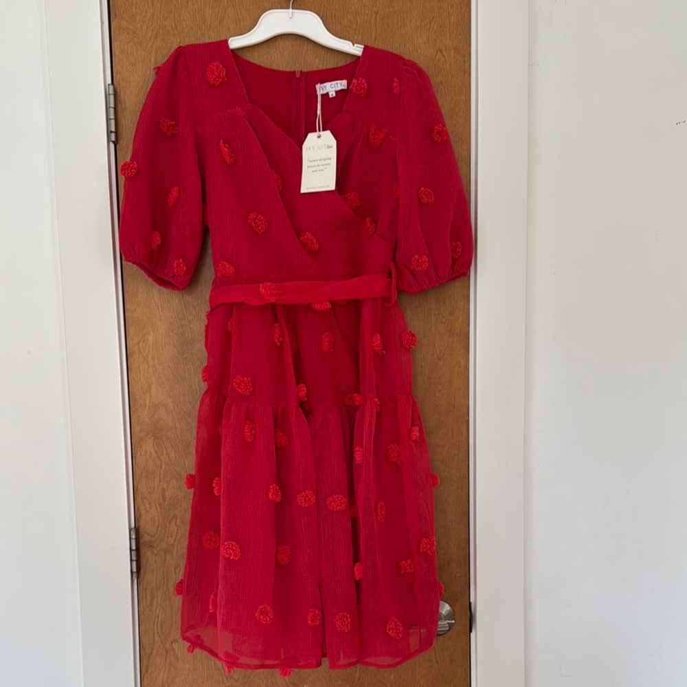 Red Pom Pom dress Ivy City Dress